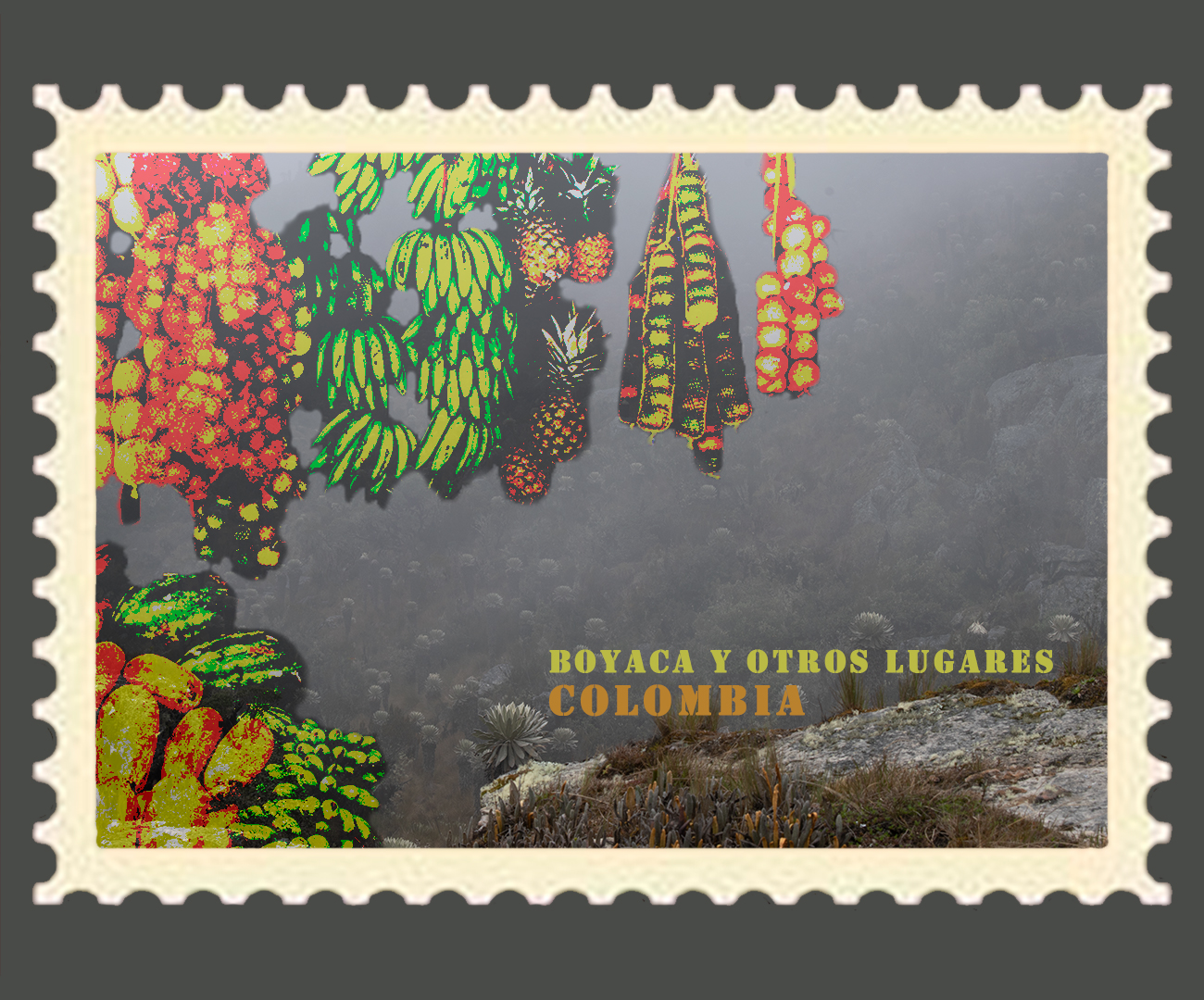 Esta estampilla es un viaje desde los pisos termicos calidos hasta lo paramos.