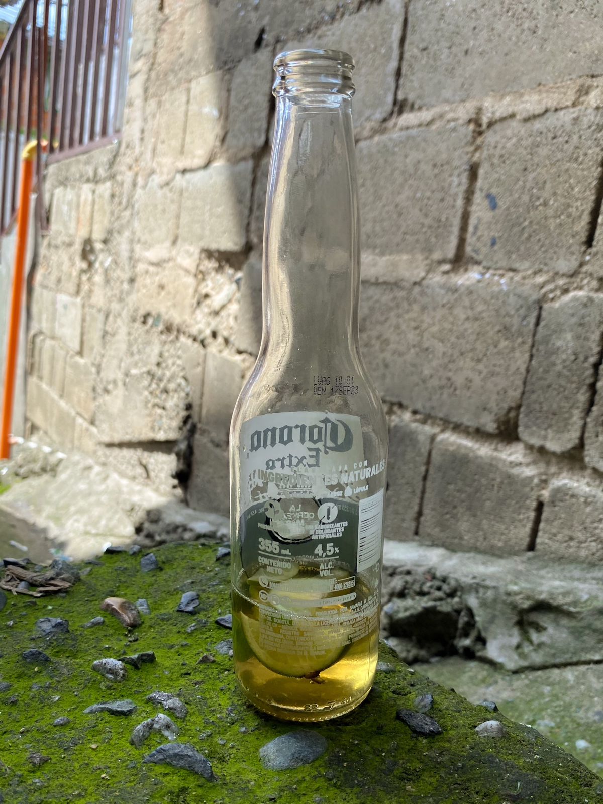 Una botella con un poco de cerveza y rodajas de limones en el fondo. Asi es que luce una michelada el domingo en la mañana.